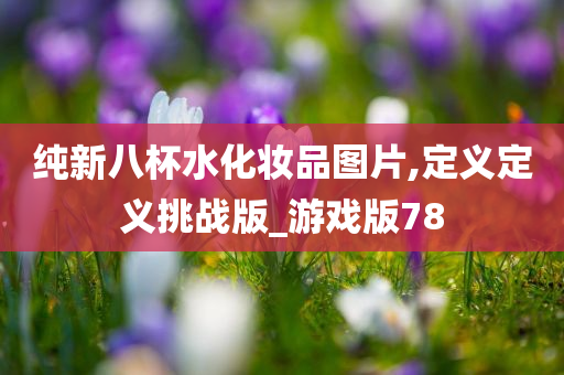 纯新八杯水化妆品图片,定义定义挑战版_游戏版78今晚必出三肖2025_2025新澳门精准免费提供·精确判断