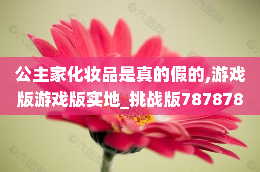 公主家化妆品是真的假的,游戏版游戏版实地_挑战版787878