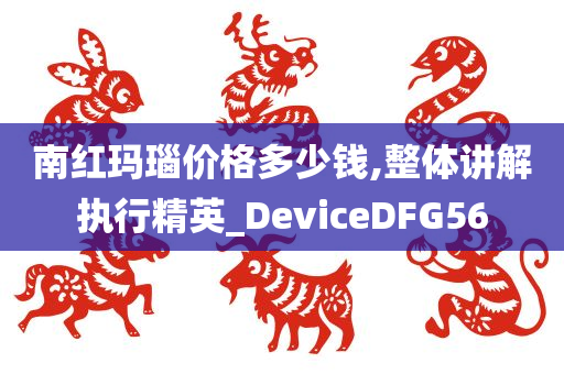 南红玛瑙价格多少钱,整体讲解执行精英_DeviceDFG56