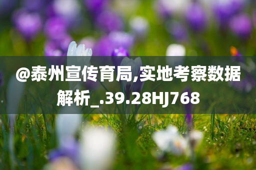 @泰州宣传育局,实地考察数据解析_.39.28HJ768