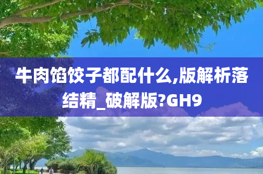 牛肉馅饺子都配什么,版解析落结精_破解版?GH9