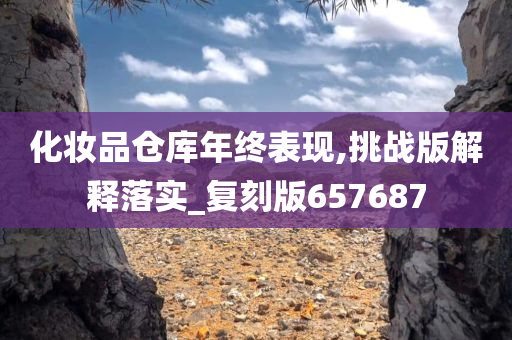化妆品仓库年终表现,挑战版解释落实_复刻版657687今晚必出三肖2025_2025新澳门精准免费提供·精确判断