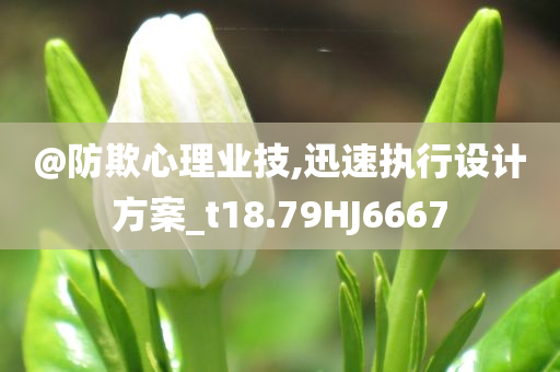 设计方案 第2页