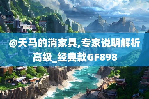 @天马的消家具,专家说明解析高级_经典款GF898