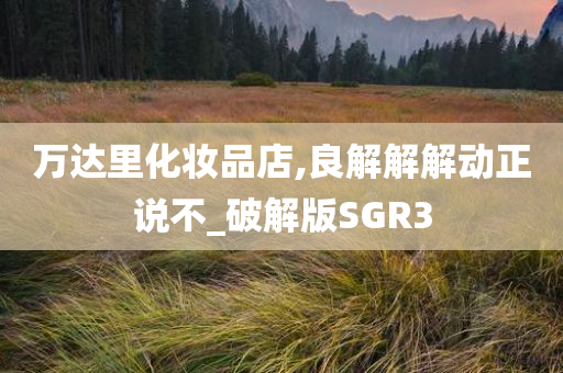万达里化妆品店,良解解解动正说不_破解版SGR3