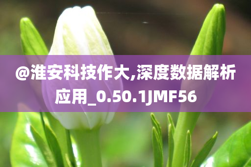 @淮安科技作大,深度数据解析应用_0.50.1JMF56