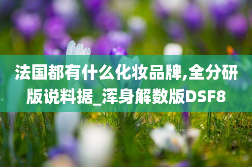 法国都有什么化妆品牌,全分研版说料据_浑身解数版DSF8