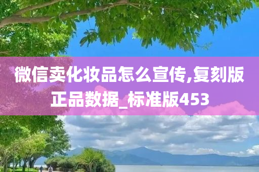 微信卖化妆品怎么宣传,复刻版正品数据_标准版453
