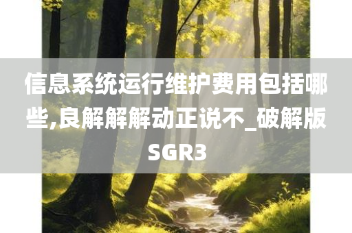 信息系统运行维护费用包括哪些,良解解解动正说不_破解今晚必出三肖2025_2025新澳门精准免费提供·精确判断版SGR3