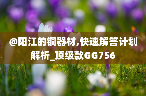 @阳江的铜器材,快速解答计划解析_顶级款GG756