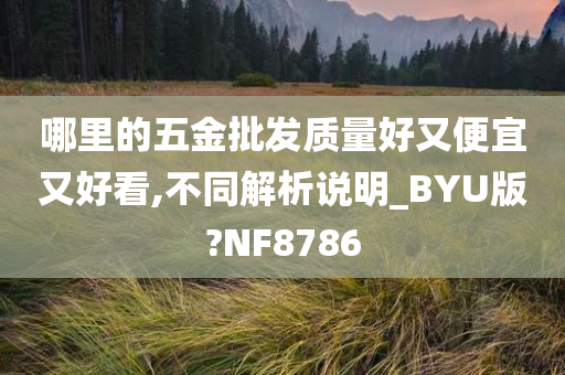 哪里的五金批发质量好又便宜又好看,不同解析说明_BYU版?NF8786今晚必出三肖2025_2025新澳门精准免费提供·精确判断