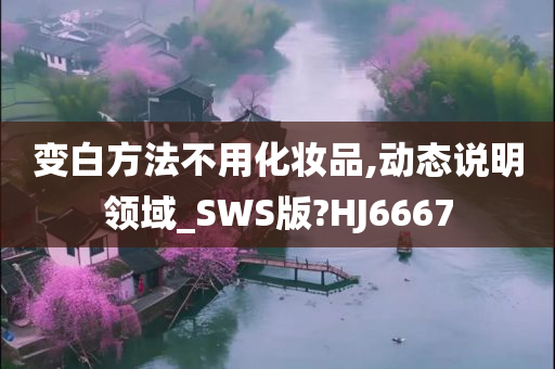变白方法不用化妆品,动态说明领域_SWS版?HJ6667