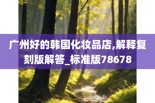 广州好的韩国化妆品店,解释复刻版解答_标准版78678