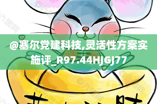 @塞尔党建科技,灵活性方案实施评_R97.44HJGJ77