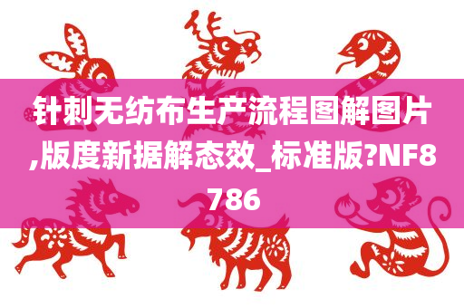 针刺无纺布生产流程图解图片,版度新据解态效_标准版?NF8786