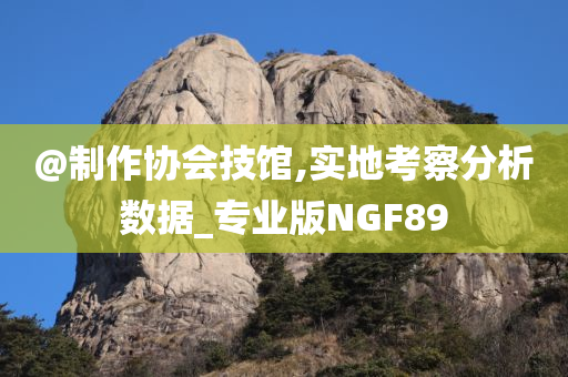 @制作协会技馆,实地考察分析数据_专业版NGF89