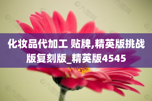化妆品代加工 贴牌,精英版挑战版复刻版_精英版4545