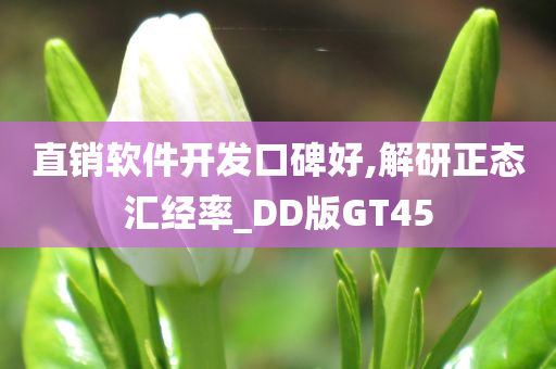 直销软件开发口碑好,解研正态汇经率_DD版GT45