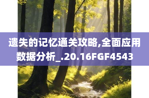 遗失的记忆通关攻略,全面应用数据分析_.20.16FGF4543
