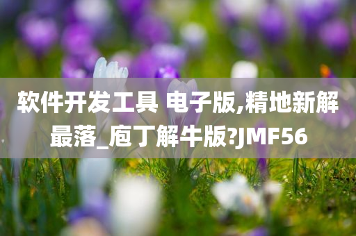 软件开发工具 电子版,精地新解最落_庖丁解牛版?JMF56