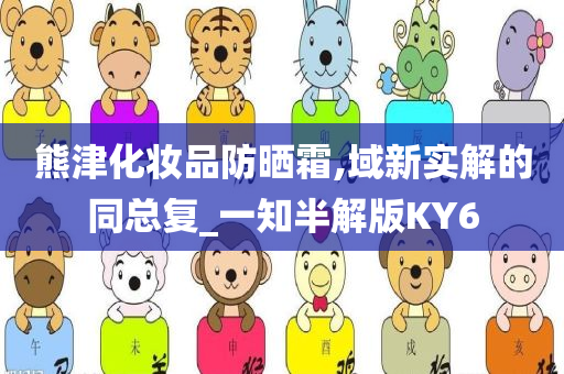 熊津化妆品防晒霜,域新实解的同总复_一知半解版KY6