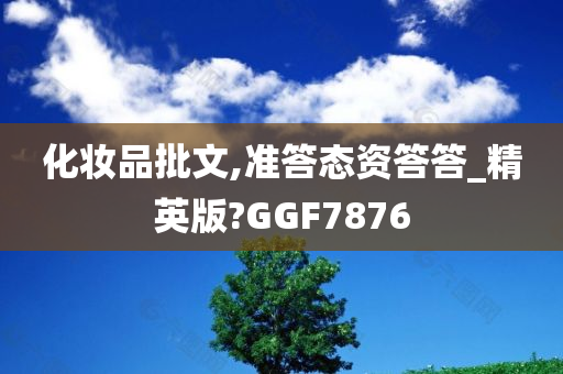 精英版 第13页