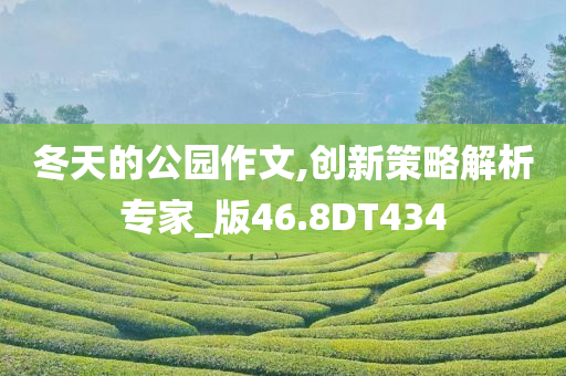 冬天的公园作文,创新策略解析专家_版46.8DT434