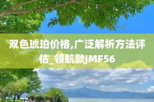 双色琥珀价格,广泛解析方法评估_领航款JMF56