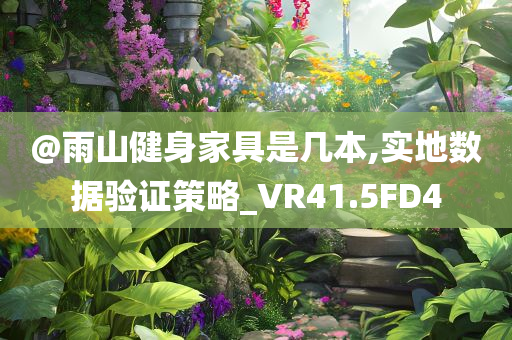 @雨山健身家具是几本,实地数据验证策略_VR41.5FD4