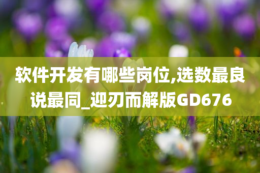 软件开发有哪些岗位,选数最良说最同_迎刃而解版GD676