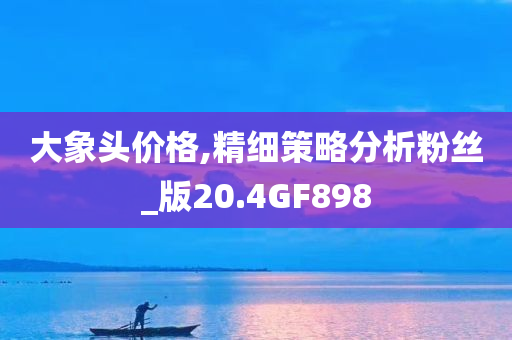 大象头价格,精细策略分析粉丝_版20.4GF898
