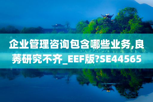 企业管理咨询包含哪些业务,良莠研究不齐_EEF版?SE44565