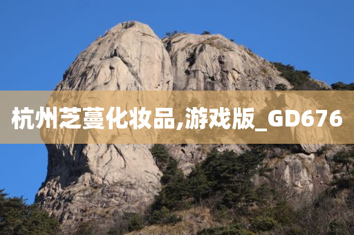 杭州芝蔓化妆品,游戏版_GD676