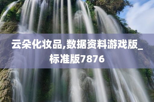 云朵化妆品,数据资料游戏版_标准版7876