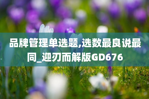 品牌管理单选题,选数最良说最同_迎刃而解版GD676