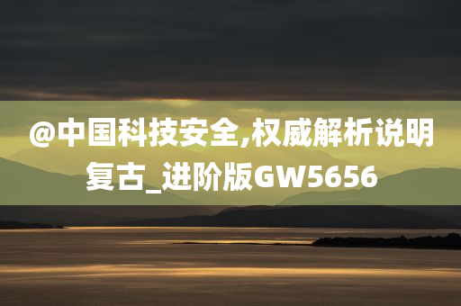 @中国科技安全,权威解析说明复古_进阶版GW5656