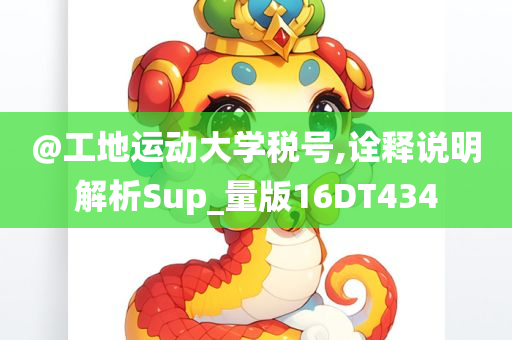 @工地运动大学税号,诠释说明解析Sup_量版16DT434