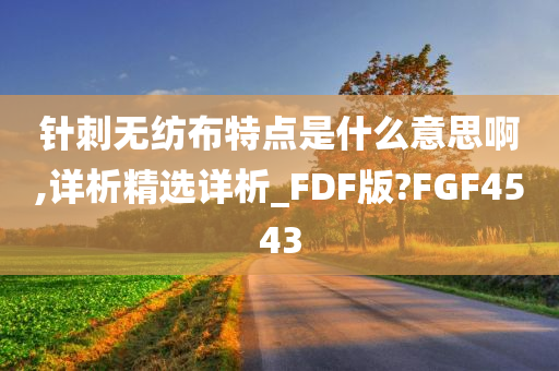 针刺无纺布 第3页