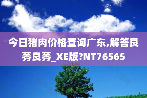 今日猪肉价格查询广东,解答良莠良莠_XE版?NT76565今晚必出三肖2025_2025新澳门精准免费提供·精确判断