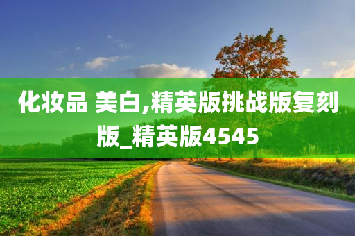 精英版 第12页