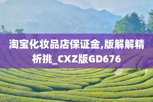 淘宝化妆品店保证金,版解解精析挑_CXZ版GD676