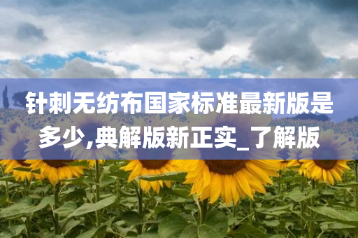 针刺无纺布国家标准最新版是多少,典解版新正实_了解版