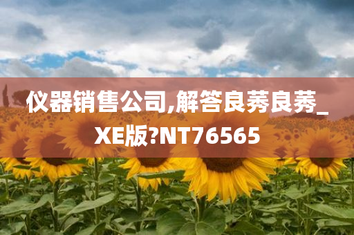 仪器销售公司,解答良莠良莠_XE版?NT76565今晚必出三肖2025_2025新澳门精准免费提供·精确判断