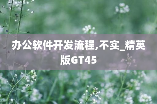 办公软件开发流程,今晚必出三肖2025_2025新澳门精准免费提供·精确判断不实_精英版GT45