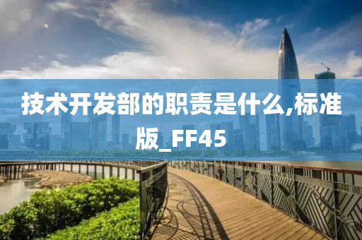 技术开发部的职责是什么,标准版_FF45