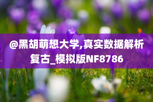 @黑胡萌想大学,真实数据解析复古_模拟版NF8786