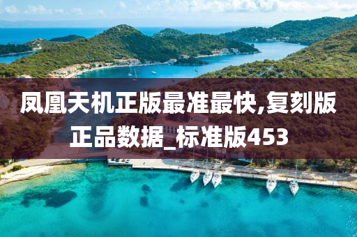 凤凰天机正版最准最快,复刻版正品数据_标准版453