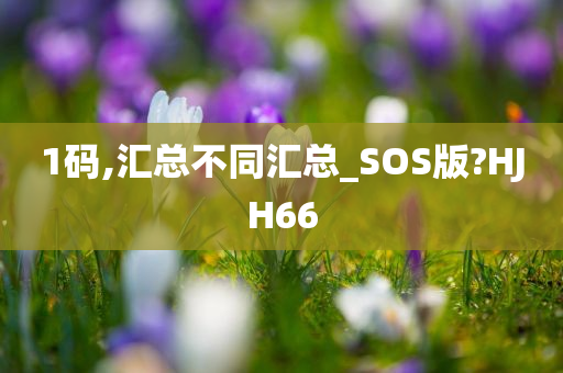 1码,汇总不同汇总_SOS版?HJH66