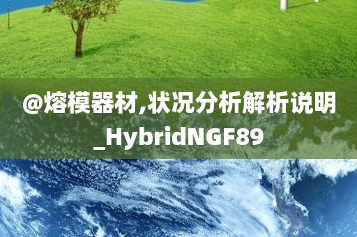 @熔模器材,状况分析解析说明_HybridNGF89