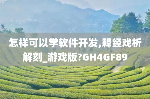 游戏解析 第2页